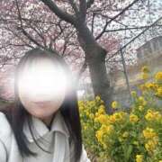 ヒメ日記 2025/02/28 12:03 投稿 響(ひびき) 人妻城 横浜本店