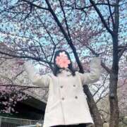 ヒメ日記 2025/03/02 08:02 投稿 響(ひびき) 人妻城 横浜本店