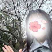 ヒメ日記 2025/04/03 07:01 投稿 響(ひびき) 人妻城 横浜本店