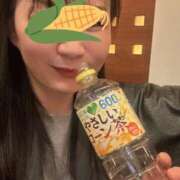 ヒメ日記 2025/04/11 12:04 投稿 響(ひびき) 人妻城 横浜本店