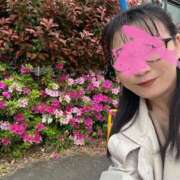 ヒメ日記 2025/04/25 07:07 投稿 響(ひびき) 人妻城 横浜本店