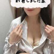 ヒメ日記 2025/05/11 09:59 投稿 響(ひびき) 人妻城 横浜本店