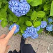 ヒメ日記 2025/05/25 12:07 投稿 響(ひびき) 人妻城 横浜本店