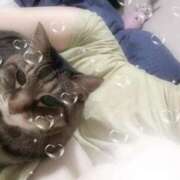 ヒメ日記 2025/07/26 08:06 投稿 響(ひびき) 人妻城 横浜本店