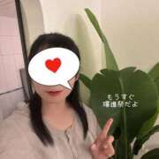 ヒメ日記 2025/08/05 20:08 投稿 響(ひびき) 人妻城 横浜本店