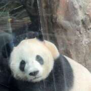 ヒメ日記 2025/10/04 07:19 投稿 響(ひびき) 人妻城 横浜本店