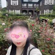 ヒメ日記 2025/10/19 12:12 投稿 響(ひびき) 人妻城 横浜本店