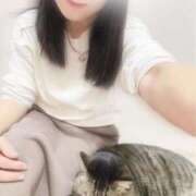 ヒメ日記 2025/11/29 08:00 投稿 響(ひびき) 人妻城 横浜本店