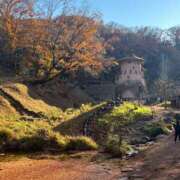 ヒメ日記 2025/12/08 07:12 投稿 響(ひびき) 人妻城 横浜本店