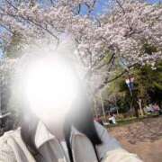 ヒメ日記 2026/03/30 07:10 投稿 響(ひびき) 人妻城 横浜本店