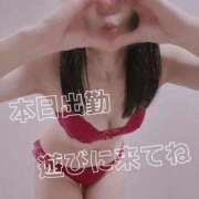 ヒメ日記 2026/06/28 07:38 投稿 響(ひびき) 人妻城 横浜本店