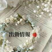 ヒメ日記 2025/12/30 07:57 投稿 ここあ 宮崎ちゃんこ中央通店