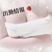 ヒメ日記 2026/01/10 11:57 投稿 ここあ 宮崎ちゃんこ中央通店