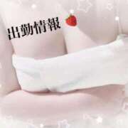 ヒメ日記 2026/01/11 11:57 投稿 ここあ 宮崎ちゃんこ中央通店