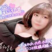 ヒメ日記 2024/12/19 17:31 投稿 るみ Fの法則