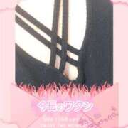 ヒメ日記 2024/12/16 18:16 投稿 まい 熟女総本店