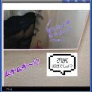 ヒメ日記 2024/12/17 06:20 投稿 まい 熟女総本店