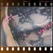 ヒメ日記 2024/12/20 08:52 投稿 まい 熟女総本店