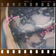 ヒメ日記 2025/03/14 14:03 投稿 まい 熟女総本店