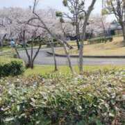 ヒメ日記 2025/04/06 20:25 投稿 まい 熟女総本店