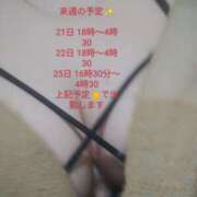 ヒメ日記 2025/04/20 21:35 投稿 まい 熟女総本店