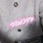 ヒメ日記 2025/04/28 21:15 投稿 まい 熟女総本店