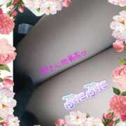 ヒメ日記 2025/05/29 08:15 投稿 まい 熟女総本店