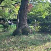 ヒメ日記 2025/06/28 23:25 投稿 まい 熟女総本店