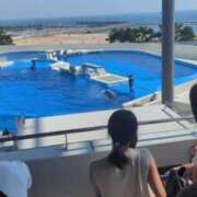 ヒメ日記 2025/09/01 21:05 投稿 まい 熟女総本店