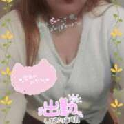 ヒメ日記 2025/11/04 19:15 投稿 まい 熟女総本店