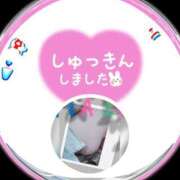 ヒメ日記 2025/11/10 12:06 投稿 まい 熟女総本店