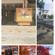 まい やっと…… 熟女総本店