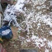 ヒメ日記 2026/02/08 11:12 投稿 まい 熟女総本店