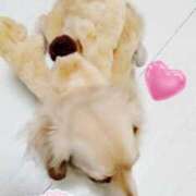 ヒメ日記 2025/12/13 20:15 投稿 雅美(まさみ) 池袋夢幻