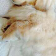 ヒメ日記 2025/12/15 08:12 投稿 雅美(まさみ) 池袋夢幻