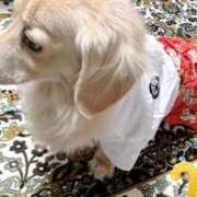 ヒメ日記 2026/01/01 13:25 投稿 雅美(まさみ) 池袋夢幻