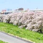 ヒメ日記 2026/04/08 16:42 投稿 雅美(まさみ) 池袋夢幻