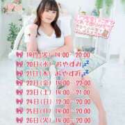 ヒメ日記 2025/08/19 07:57 投稿 向日葵ひまり【NH】 アヌエ＠日暮里