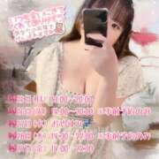 ヒメ日記 2025/08/24 15:37 投稿 向日葵ひまり【NH】 アヌエ＠日暮里