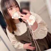 ヒメ日記 2025/11/21 09:47 投稿 向日葵ひまり【NH】 アヌエ＠日暮里