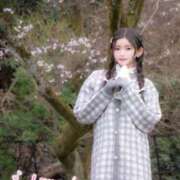 ヒメ日記 2025/04/02 21:12 投稿 桐生まどか LUXE(リュクス)