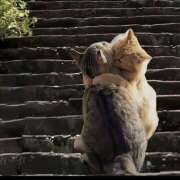 ヒメ日記 2025/01/15 09:42 投稿 くみ 大久保おかあちゃんの乳クリ