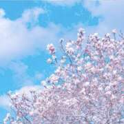 ヒメ日記 2025/04/01 08:07 投稿 くみ 大久保おかあちゃんの乳クリ