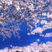 ヒメ日記 2025/04/25 09:05 投稿 くみ 大久保おかあちゃんの乳クリ