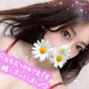 ヒメ日記 2025/03/01 22:33 投稿 あかり★奇跡のS級元有名子役★ Bell～S級美女お姉様・人妻デリヘル～