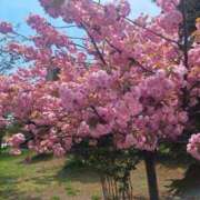 ヒメ日記 2025/05/14 08:30 投稿 愛川ナース 病院