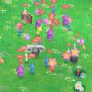 ヒメ日記 2025/06/02 14:06 投稿 愛川ナース 病院