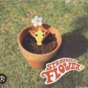 ヒメ日記 2025/06/07 15:59 投稿 愛川ナース 病院