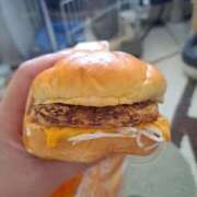 ヒメ日記 2026/04/22 14:36 投稿 愛川ナース 病院