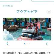 ヒメ日記 2026/05/08 08:56 投稿 愛川ナース 病院